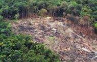 Retrocesso ambiental deve pôr Brasil em saia-justa na Europa