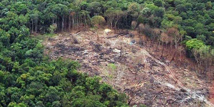 Retrocesso ambiental deve pôr Brasil em saia-justa na Europa