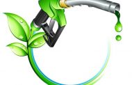 Biocombustíveis são a solução para o controle da emissão de carbono