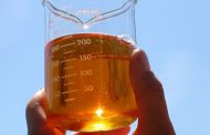 Petrobras estuda produzir biodiesel a partir de microalgas