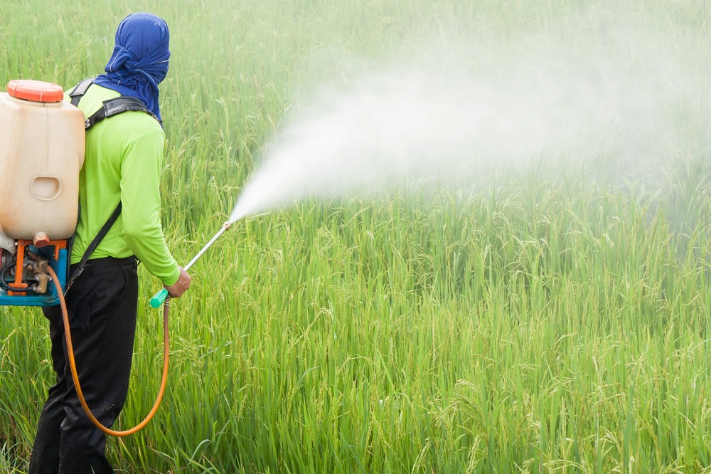 Mudanças na lei de agrotóxicos no Brasil violariam direitos humanos, afirmam relatores da ONU