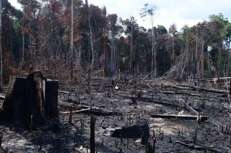 Brasil avança, mas tem desafio para cumprir meta de emissão de carbono