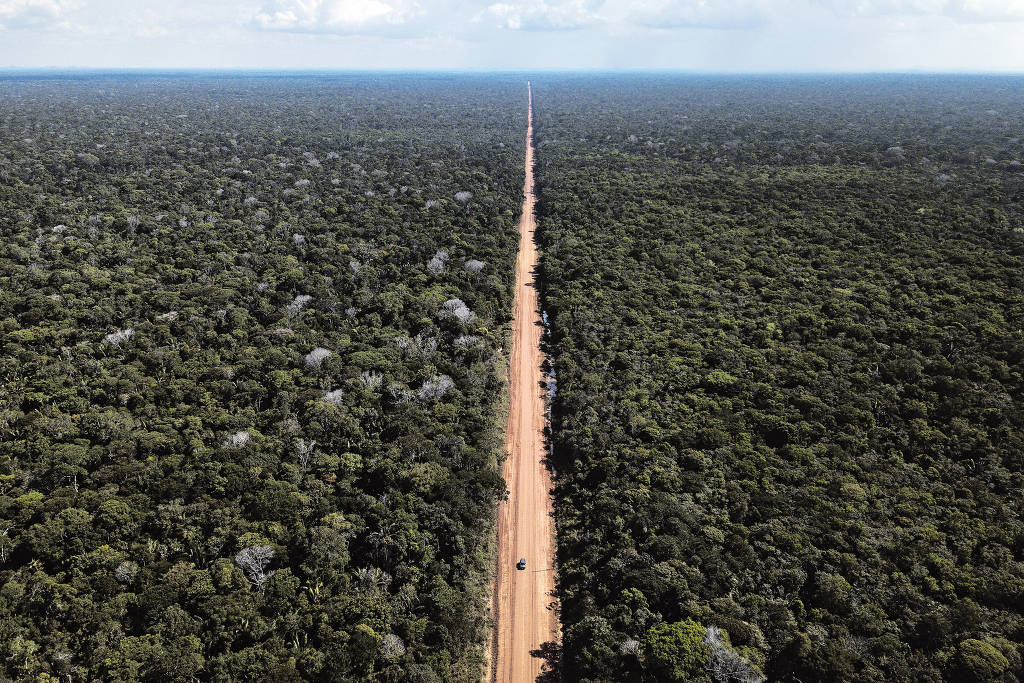 Emissões de gases do efeito estufa no Brasil caem em 2017