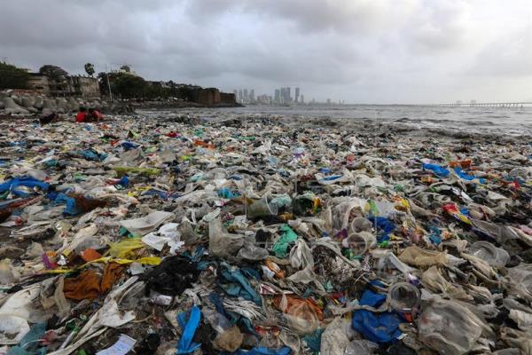 Cientistas chineses alertam para grande presença de plástico no fundo do mar