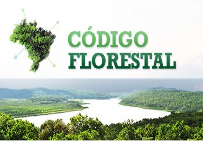 Especialistas alertam para mudanças no Código Florestal