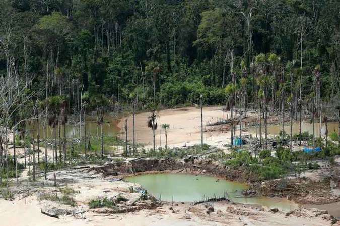 Cientistas discutem devastador custo da ação humana no planeta