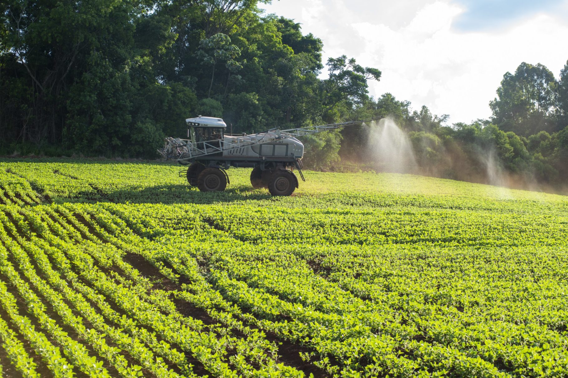 Anvisa aprova marco regulatório dos agrotóxicos