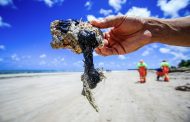 Desastre nas praias do NE é inédito no mundo, diz coordenadora do Ibama