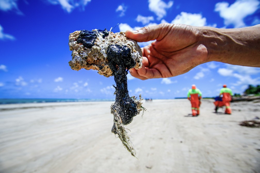 Desastre nas praias do NE é inédito no mundo, diz coordenadora do Ibama