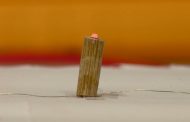 Pesquisa desenvolve uso de bambu como substituto de fios elétricos para construção civil e eletrônica
