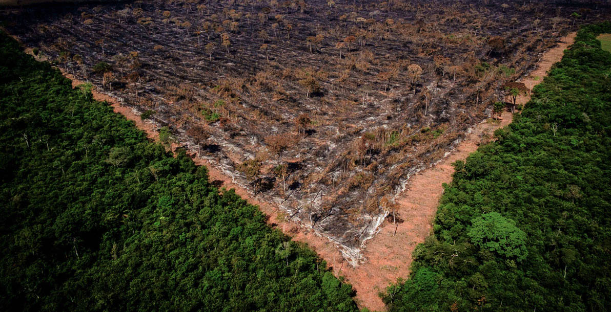 Brasil contraria tendência global e pode ter alta em emissões na pandemia