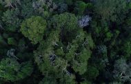 Inpe cria plataforma gratuita de dados do solo brasileiro