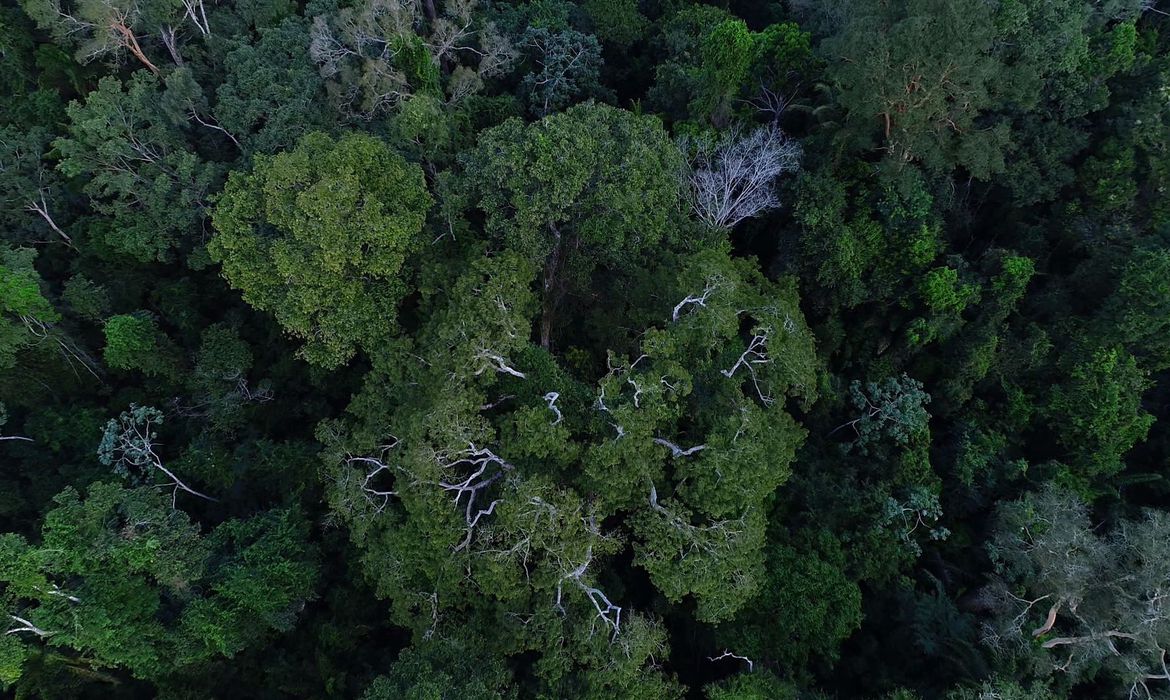 Inpe cria plataforma gratuita de dados do solo brasileiro