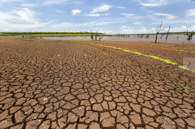 Aquecimento global: Brasil não detalhou metas para o Acordo de Paris e desmatamento está longe de zero