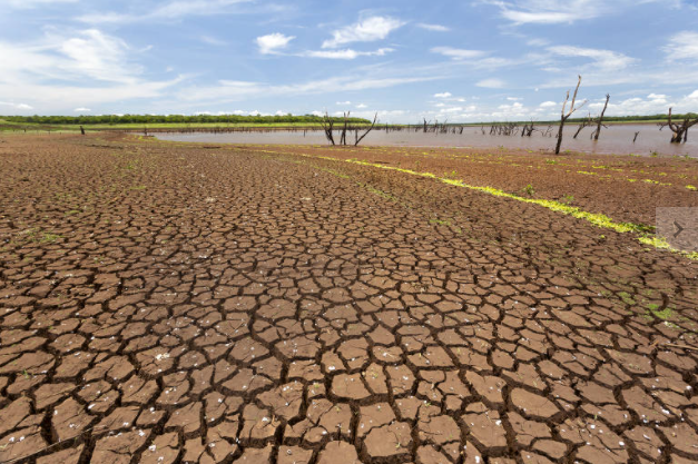 Mais de 200 revistas divulgam alerta: 'fracasso na luta contra o aquecimento é a maior ameaça à saúde global'