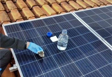 Painéis solares abrigam microrganismos com potencial aplicação biotecnológica