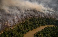 Ambiente está em chamas 50 anos depois de criado seu Dia Mundial