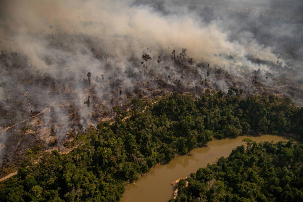 Ambiente está em chamas 50 anos depois de criado seu Dia Mundial