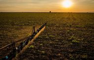 IBGE: 32% dos solos do país têm potencial natural para a agricultura