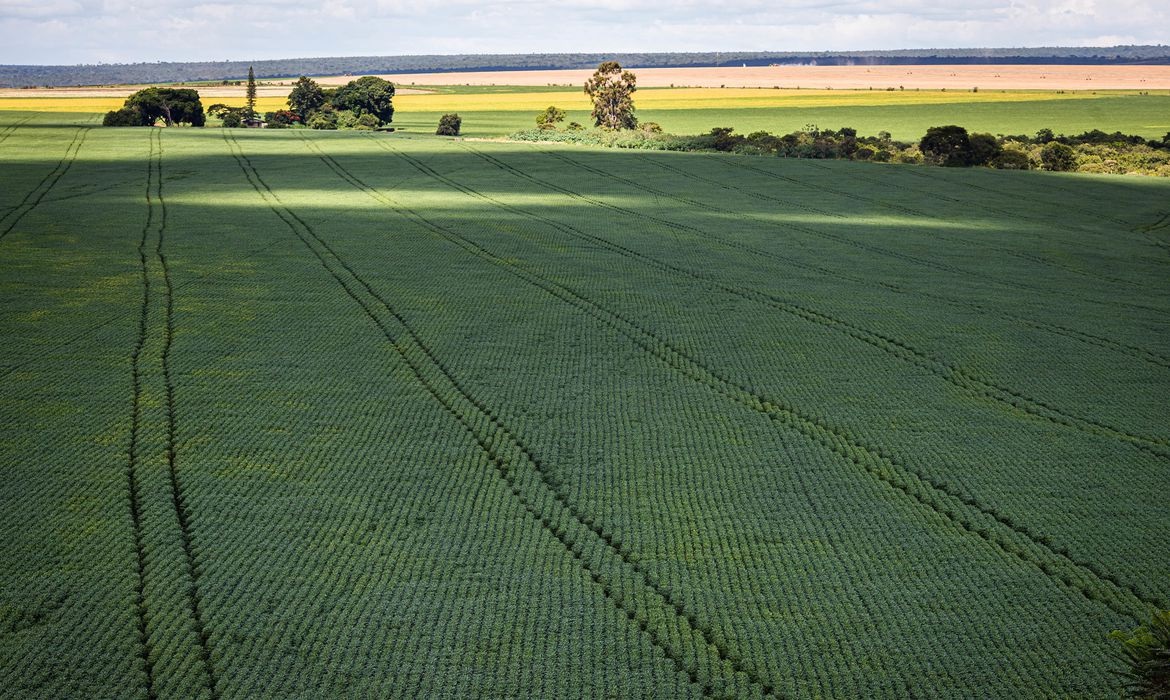 Estudo aponta desafios do seguro rural em meio a mudanças climáticas