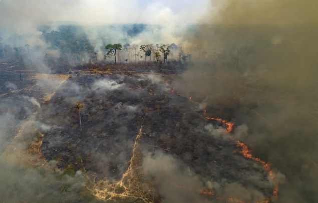 Amazônia teve alta de mais de 100% nas emissões de gás carbônico entre 2019 e 2020, aponta estudo