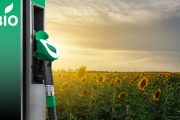 Desoneração do biodiesel gerou dependência da soja e não promoveu desenvolvimento regional