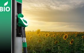 Desoneração do biodiesel gerou dependência da soja e não promoveu desenvolvimento regional