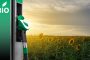 Desoneração do biodiesel gerou dependência da soja e não promoveu desenvolvimento regional