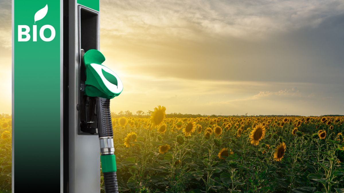 Desoneração do biodiesel gerou dependência da soja e não promoveu desenvolvimento regional