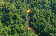 Escassez de ativos de impacto ambiental e social no mundo faz investidor olhar o Brasil