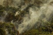 O que mais preocupa a população das capitais brasileiras em relação às mudanças climáticas