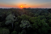 Instituto Clima e Sociedade lança edital para projetos que usam IA