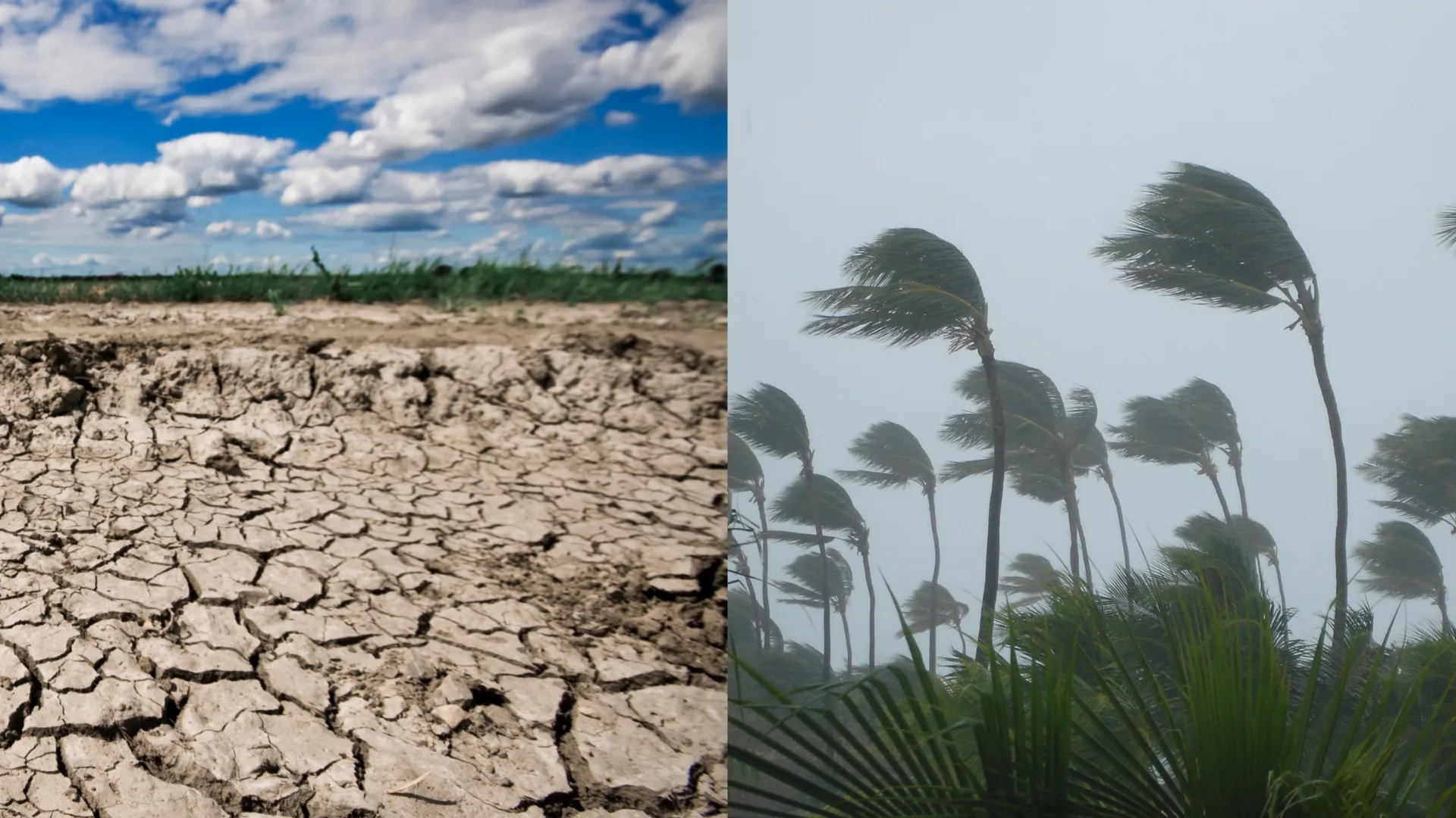 Chance de El Niño muito forte entre outubro e dezembro chega a 95%, diz agência climática dos EUA