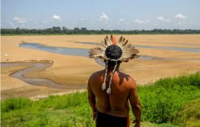 Da Amazônia à Europa, seca avança e movimenta debates na COP17